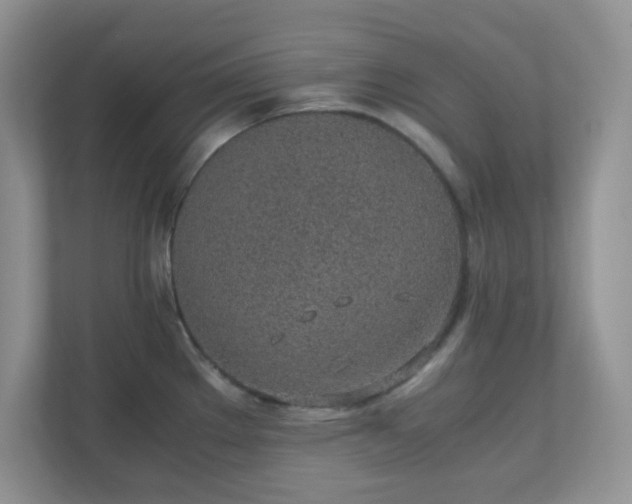 X0000110911289200906251350