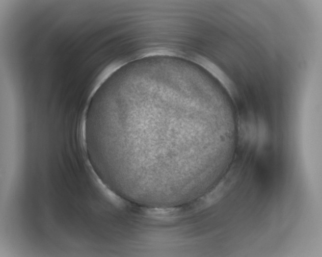 X0000110911290200906251350