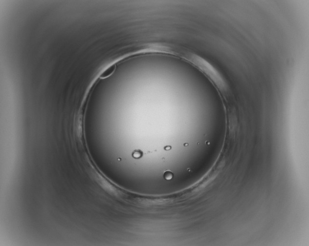 X0000110911292200906251350