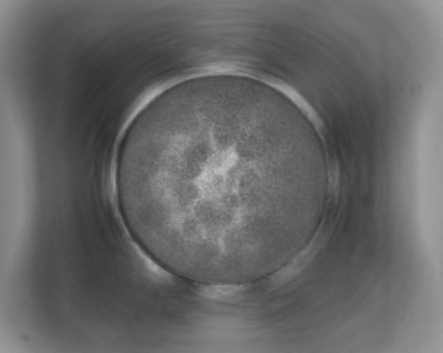 X0000110911294200906251350