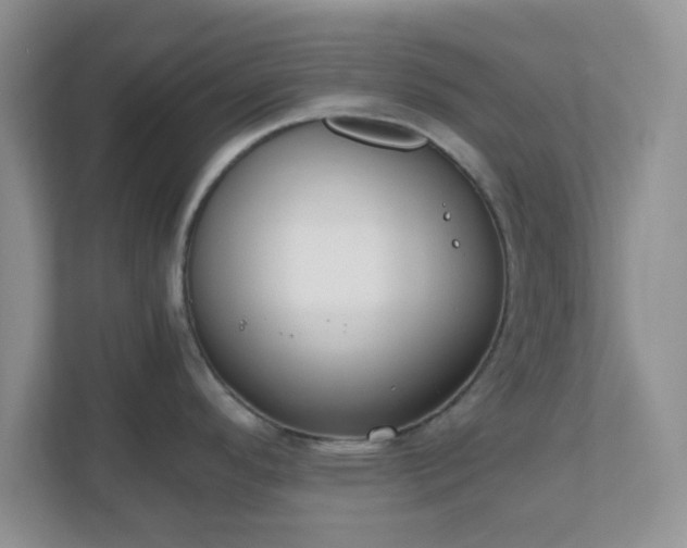 X0000110911296200906251350