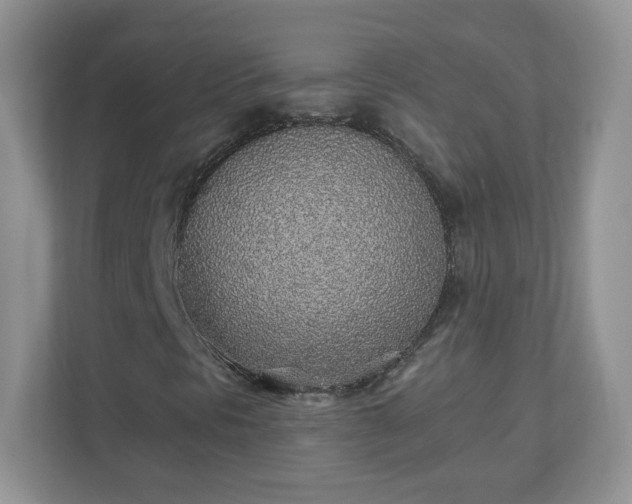 X0000110911297200906251349