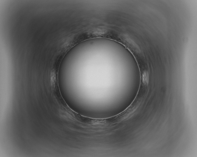 X0000110911299200906251349