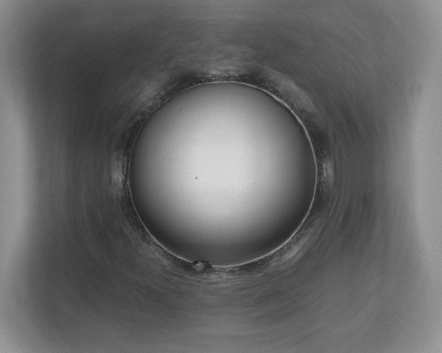 X0000110911300200906251349