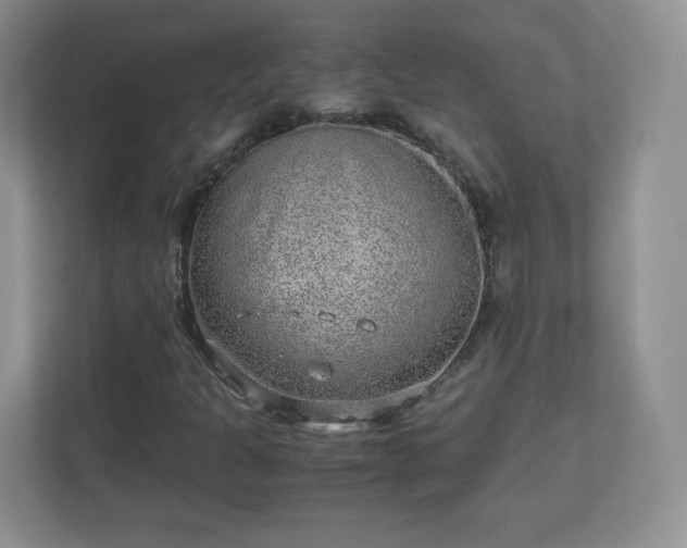 X0000110911301200906251349