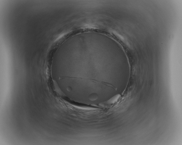 X0000110911303200906251349