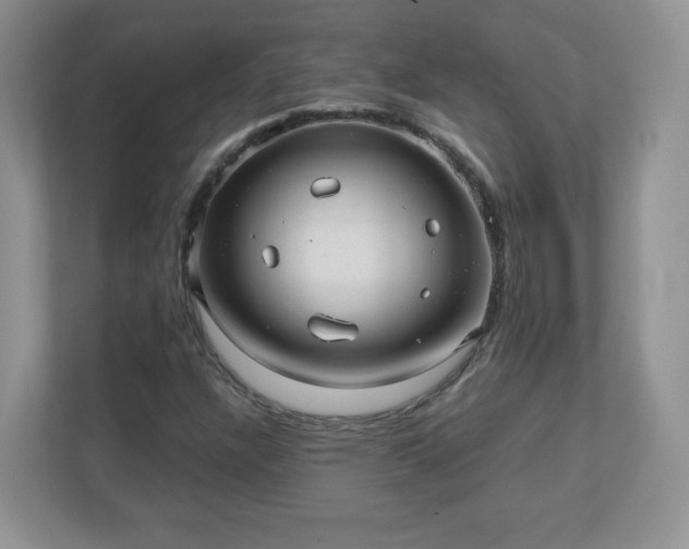 X0000110911304200906251349