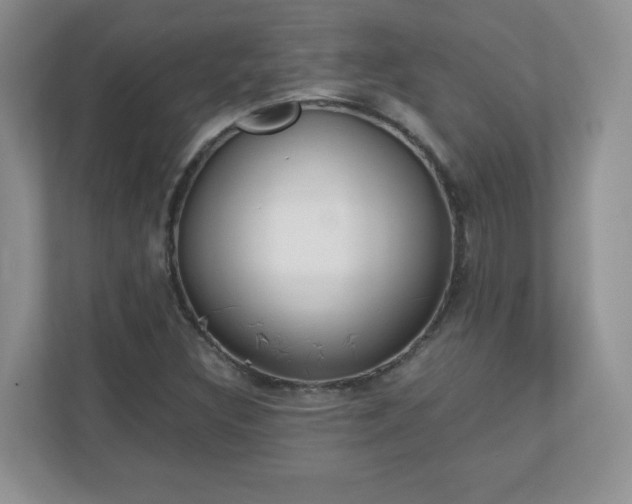 X0000110911308200906251349