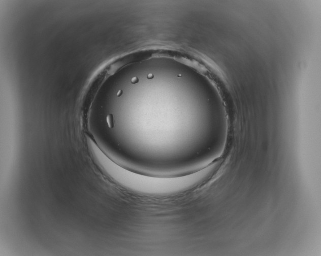 X0000110911310200906251349