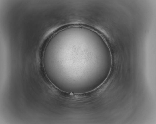 X0000110911311200906251349