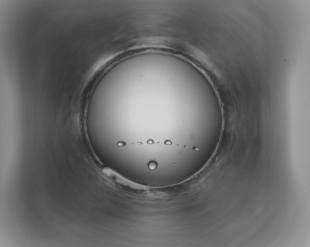 X0000110911312200906251349