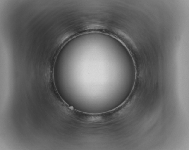 X0000110911313200906251349