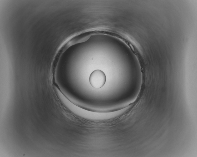 X0000110911316200906251349