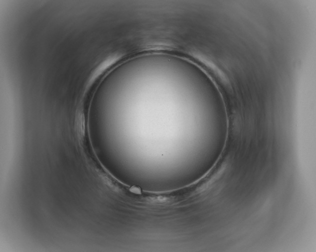 X0000110911317200906251349