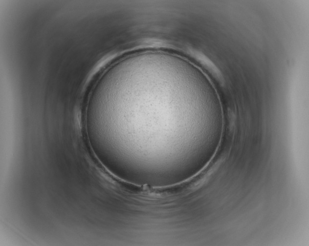 X0000110911318200906251350