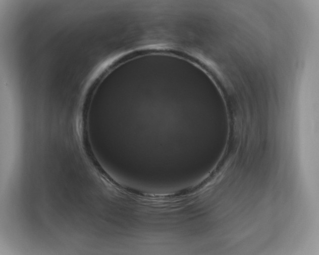 X0000110911319200906251350