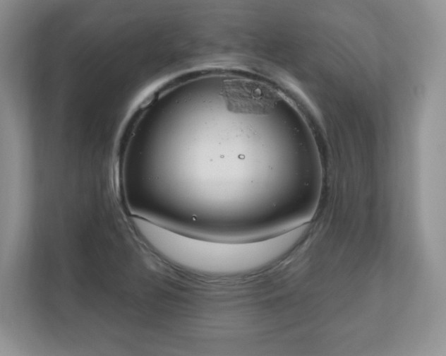 X0000110911320200906251350