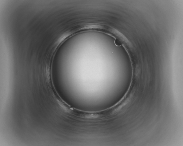 X0000110911321200906251350