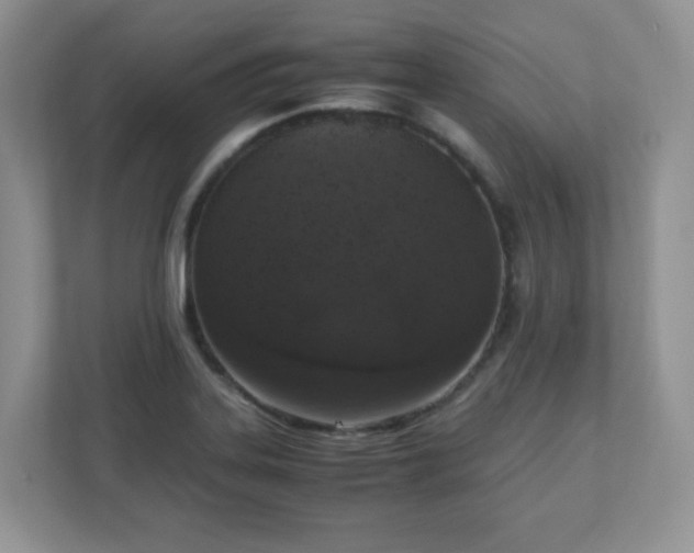 X0000110911323200906251350