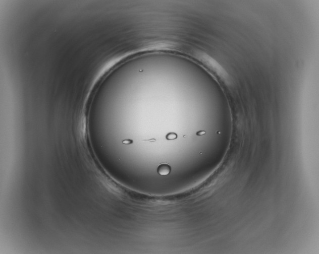 X0000110911324200906251350