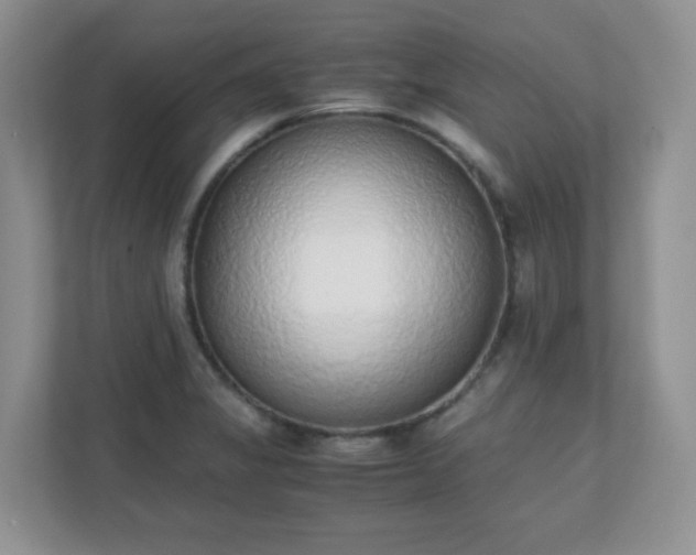 X0000110911325200906251350