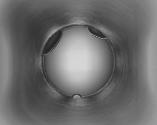 X0000110911326200906251350