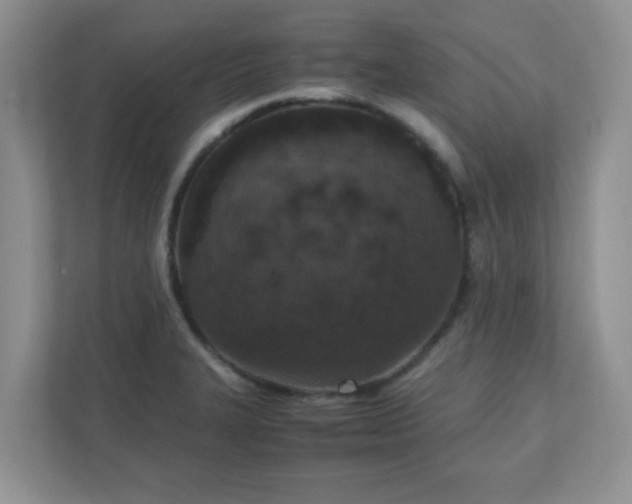 X0000110911327200906251350