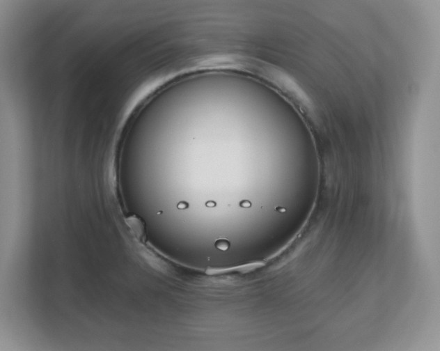 X0000110911328200906251350