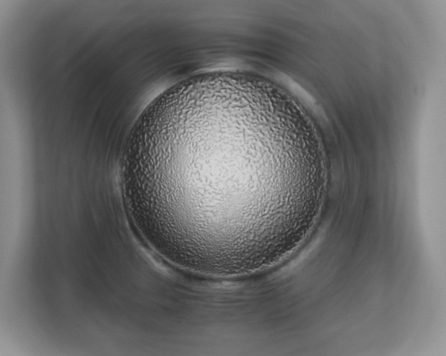 X0000110911329200906251350