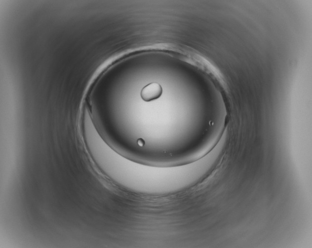 X0000110911332200906251350