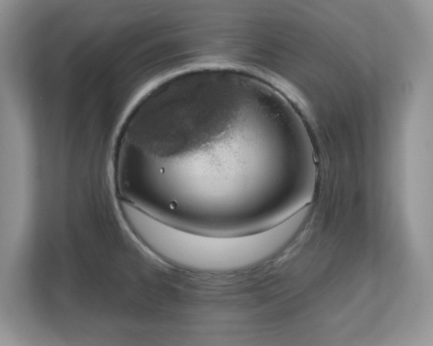 X0000110911334200906251350