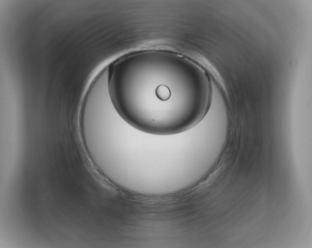 X0000110911336200906251350