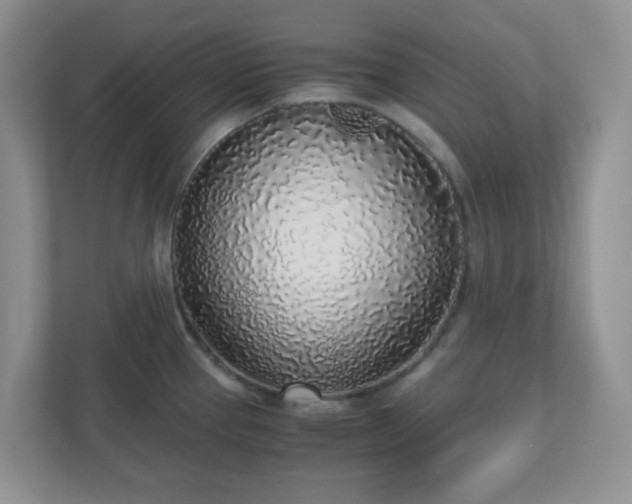 X0000110911337200906251350