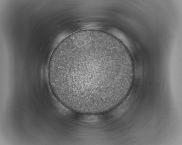 X0000110911338200906251350