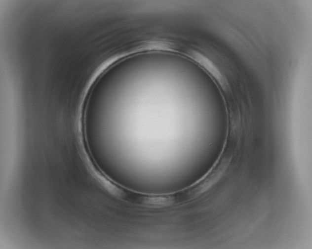 X0000110911339200906251350