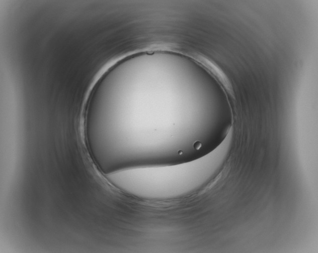 X0000110911340200906251350