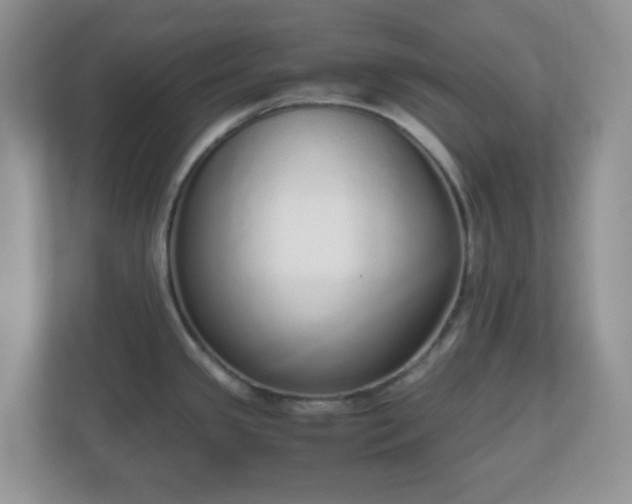 X0000110911341200906251350