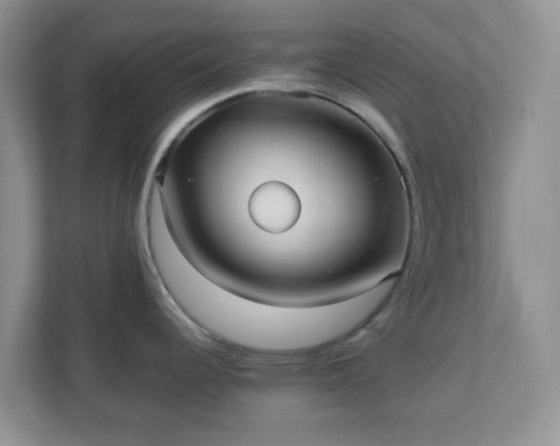 X0000110911344200906251350