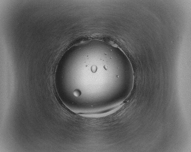 X0000110911345200906251349