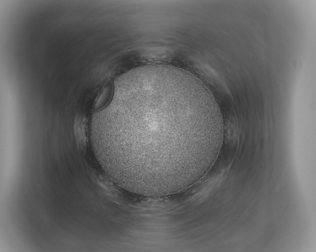 X0000110911346200906251349