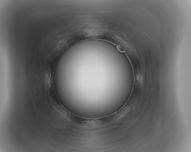 X0000110911348200906251349