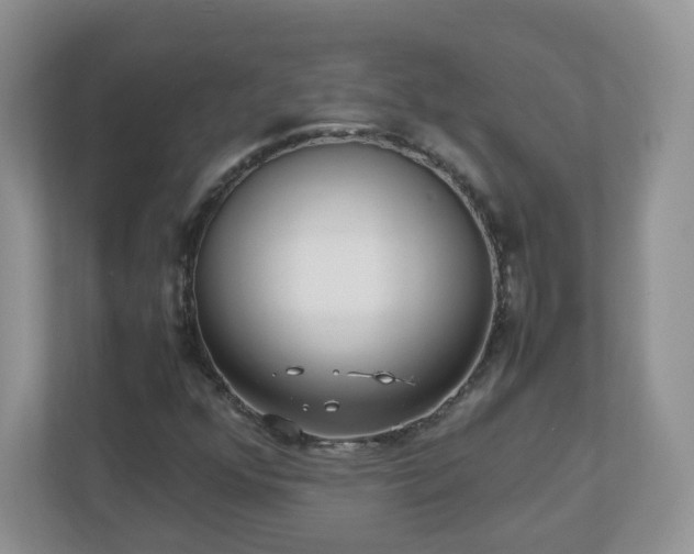 X0000110911352200906251349