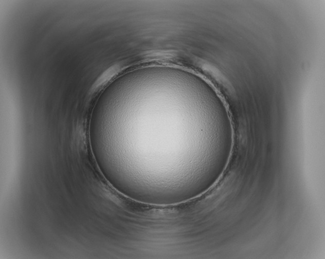 X0000110911354200906251349