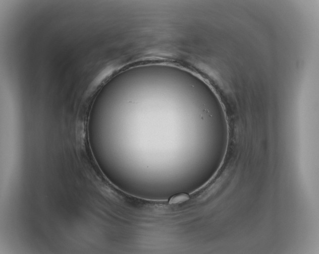 X0000110911355200906251349