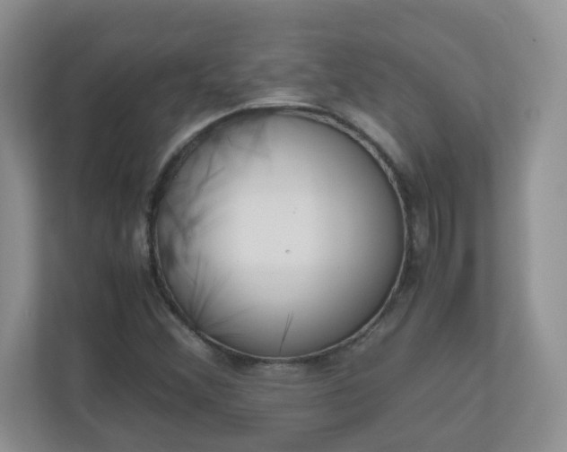 X0000110911356200906251349