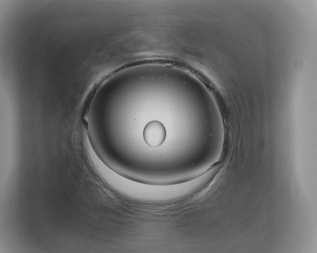 X0000110911357200906251349