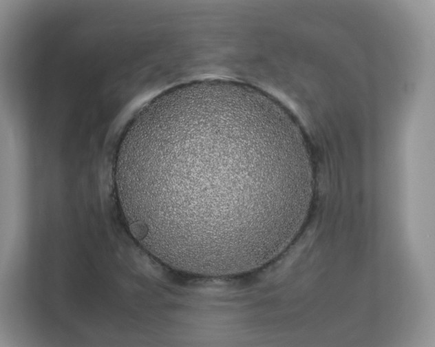 X0000110911359200906251349