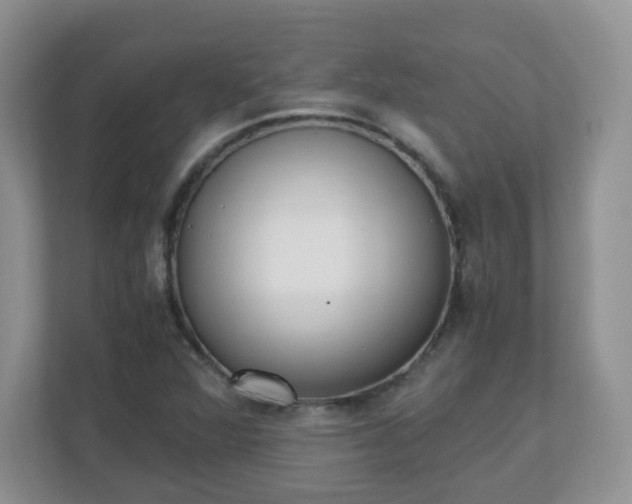 X0000110911360200906251349