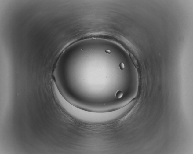 X0000110911361200906251349