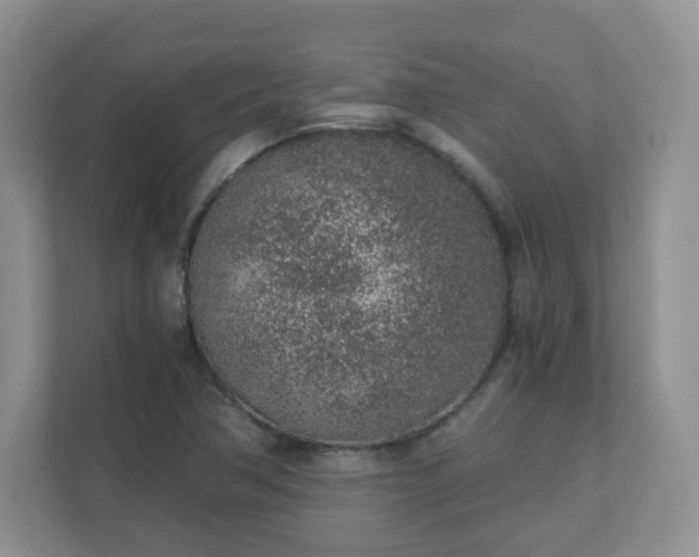 X0000110911362200906251349